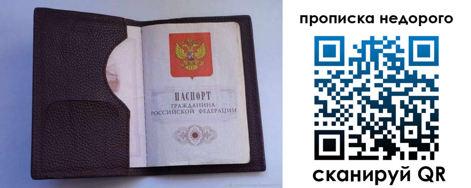 прописка законно в Поворино